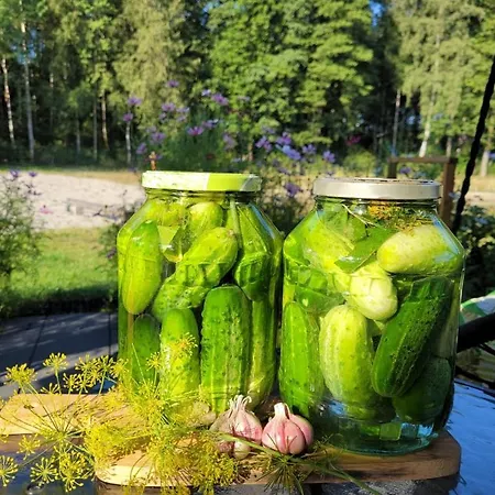 Letniskowy Domek Z Bali * Myszyniec