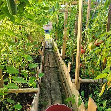 Letniskowy Domek Z Bali Myszyniec